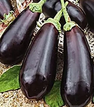 Семена баклажана Алмаз, 500 г (Nasko)