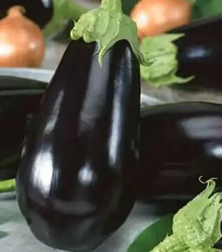 Семена баклажана Магнури F1, п.е. 10 тыс семян (Nasko)