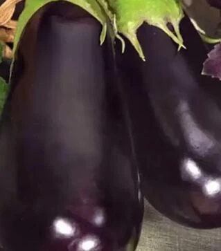 Семена баклажана Наско №2011 F1, п.е. 10 тыс семян (Nasko)