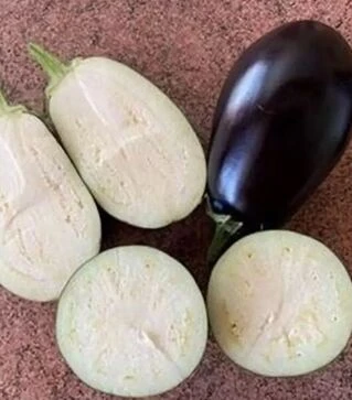 Семена баклажана Рафаэла F1, п.е. 1 тыс семян (Clause)