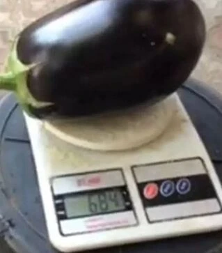 Семена баклажана Рафаэла F1, п.е. 1 тыс семян (Clause)