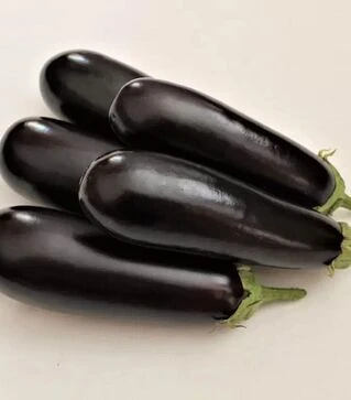 Семена баклажана Честер F1, п.е. 1 тыс семян (Ergon)