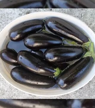 Семена баклажана Честер F1, п.е. 1 тыс семян (Ergon)