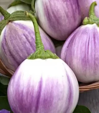 Насіння баклажану Б`янка Смуфаті ді Роса, 500 г (Hortus)