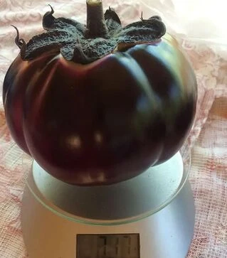 Семена баклажана Джаз F1, п.е. 1 тыс. семян (Spark Seeds)