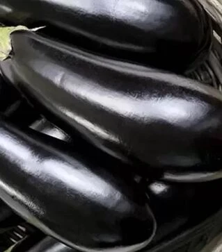 Семена баклажана Фабина F1, 5 г (Clause)