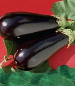 Насіння баклажана Епік F1, п.о. 100 насінин (Seminis)