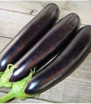 Семена баклажана Караефе F1, п.о. 500 семян (BT TOHUM)