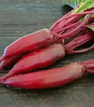 Семена свеклы Алексис, 1 кг (Moravoseed)