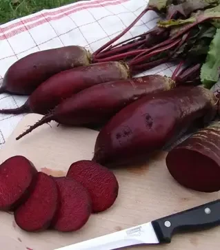 Семена свеклы Ренова, 1 кг (Moravoseed)