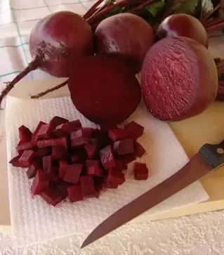 Насіння буряка Бона, 10 кг (Moravoseed)