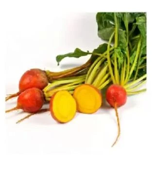 Семена свеклы Голден Ай F1, п.е. 10 тыс. семян (Sakata)