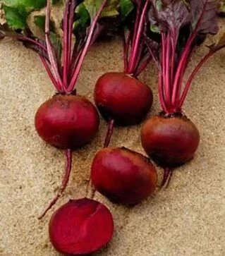 Насіння буряка Камаро F1, п.о. 5 тис. насінин (Hazera)