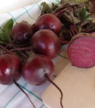 Семена свеклы Моника, 1 кг (Moravoseed)