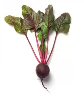 Семена свеклы Либеро, п.е. 500 тыс. семян, калибр 2,75–3,5 (Rijk Zwaan)