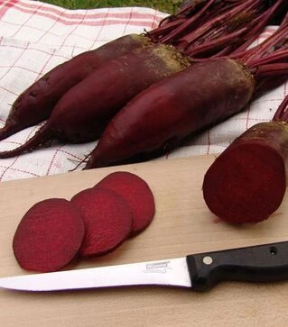 Семена свеклы Монорубра, 1 кг (Moravoseed)