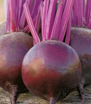 Семена свеклы Пабло F1, п.е. 500 тыс семян (Bejo)