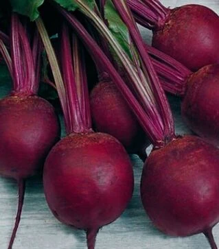 Семена свеклы Кардиал F1, п.е. 50 тыс семян (Sakata)