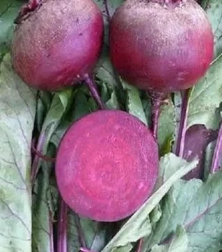 Семена свеклы Детройт Дарк Ред, 1 кг (United Genetics)