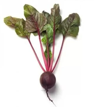 Насіння буряка Ліберо, п.о. 25 тис. насінин, 2,75-3,5 калібр (Rijk Zwaan)