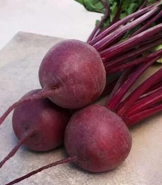 Семена свеклы Привилегия F1, п.е. 25 тыс. семян 3,2-4,0 калибр (Cora Seeds)