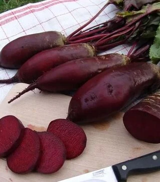 Насіння буряка Ренова, 10 кг (Moravoseed)