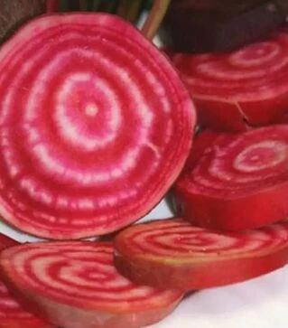 Семена свеклы Чиогиа Гардсмарк, п.е. 10 тыс. семян (Sakata)