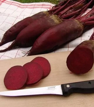 Насіння буряка Монорубра, 10 кг (Moravoseed)