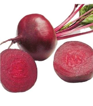 Насіння буряка Зепо F1, п.о. 50 тис.насінин (Enza Zaden)