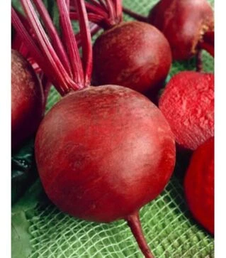 Насіння буряка Бетіна, 100 г (Semo)