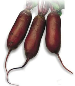 Семена свеклы Каркулка, 100 г (Semo)