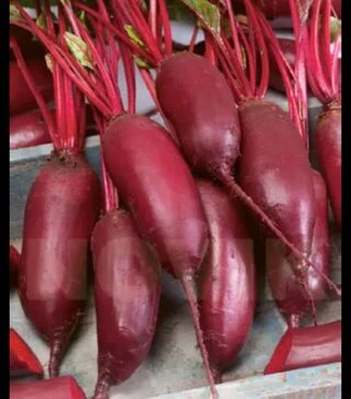 Насіння буряка Монорубра, 100 г (Moravo Seed)