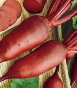 Семена свеклы Ренова, 100 г (Semo)