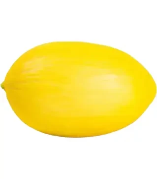 Семена дыни Азилал F1, п.е. 100 семян (Rijk Zwaan)