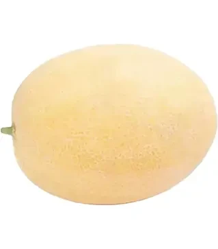 Насіння дині Тагбо F1, п.о. 1 тис.  насінин (Rijk Zwaan)