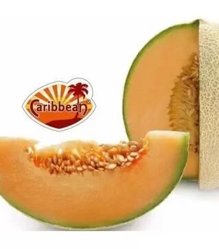 Насіння дині Карібіан Голд F1, п.о. 100 насінин (Rijk Zwaan)
