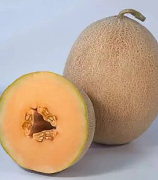 Насіння дині КС 6147, п.о. 1 тис. насінин (Kitano Seeds)