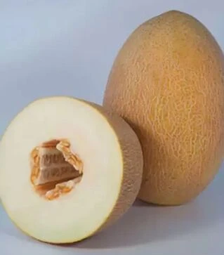 Семена дыни Кубус F1 (KS 6188), п.е. 1 тыс. семян (Kitano Seeds)