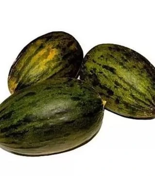 Насіння дині Пьель де Сапо, 500 г (Коуел)