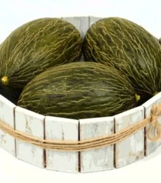 Семена дыни Алкарез F1, п.е. 500 семян (Enza Zaden)