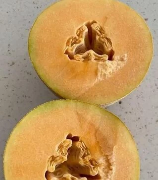 Семена дыни Алиша F1 (INX 1077), п.е. 1 тыс. семян (Innova Seeds)