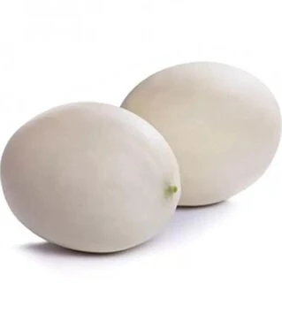 Семена дыни Санвисенте F1, п.е. 100 семян (Rijk Zwaan)