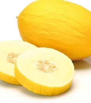 Насіння дині Дукрал F1, п.о. 100 насінин (Rijk Zwaan)