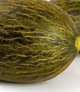 Насіння дині Фінура F1, п.о. 1 тис. насінин (Rijk Zwaan)