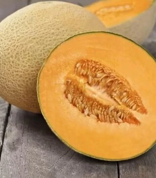 Семена дыни Флоренция F1, п.е. 1 тыс. семян (United Genetics)