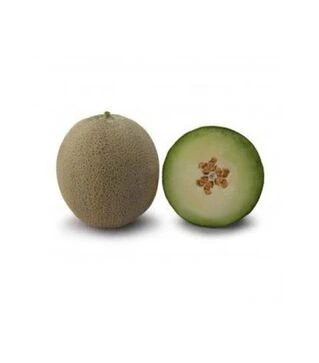 Семена дыни KC 7044 F1, п.о. 100 семян (Kitano Seeds)