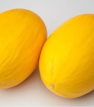 Семена дыни Амбарино F1 Organic, п.о. 250 семян (Vitalis)