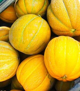 Насіння дині Ефіопка, 100 г (St)