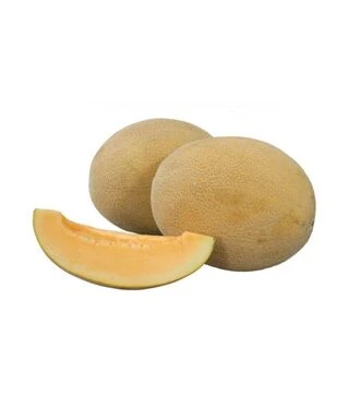 Насіння дині Робаст F1, п.о. 1 тис. насінин (Hollar Seeds)