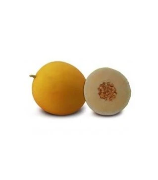 Семена дыни Шинари F1 (КС 7066 F1), п.о. 100 семян (Kitano Seeds)